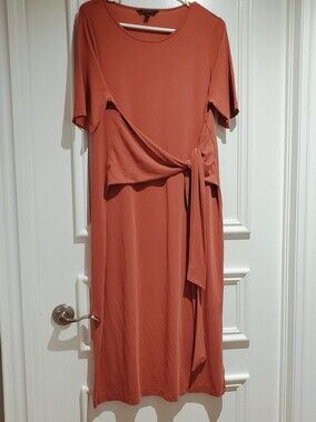 Banana Republic Super Soft Sandwash Modal Sash Tie Maxi Dress in rust/terracotta